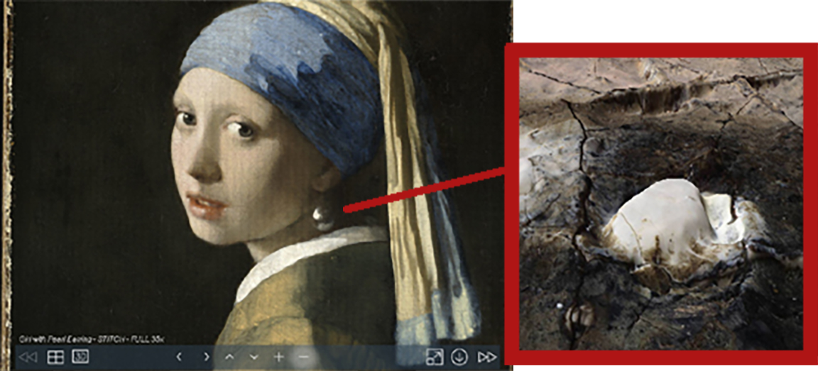 Le ultime fotografie sulla "Ragazza" di Vermeer rivelano nuovi dettagli